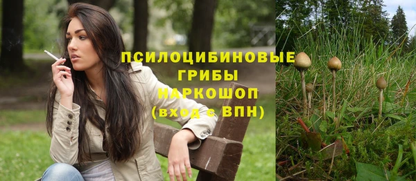 ECSTASY Алзамай